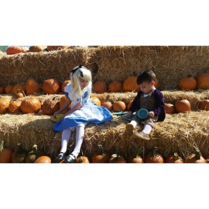 Mini costume Alice In Wonderland photo shoot at a local pumpkin patch