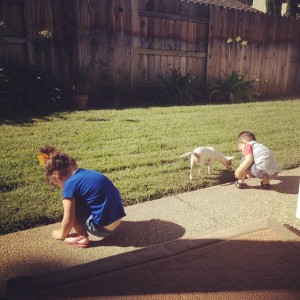 Ozzy and the kids playing in the back yard dirt. 